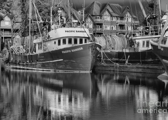 Black And White Greeting Card featuring the photograph Pacific Banker Black And White by Adam Jewell