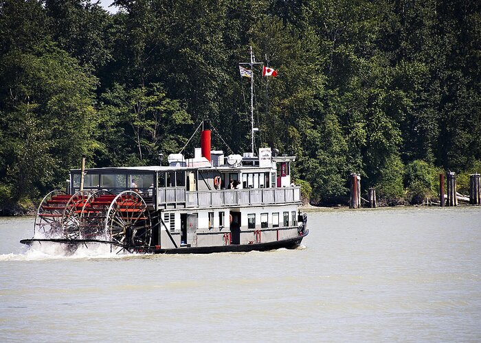 Paddlewheeler Greeting Card featuring the photograph Paddle Wheeler on the Fraser by Marion McCristall