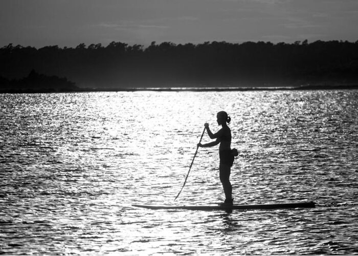  Greeting Card featuring the photograph Paddleboarder - Masonboro Inlet NC by Dana Sohr