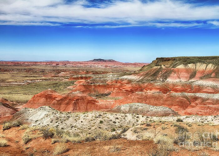 Painted Desert National Park Greeting Card featuring the photograph Painted Desert 2 by Teresa Zieba