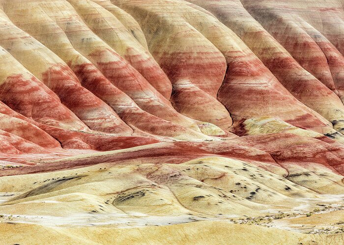 Painted Hills Greeting Card featuring the photograph Painted Hills Landscape by Pierre Leclerc Photography