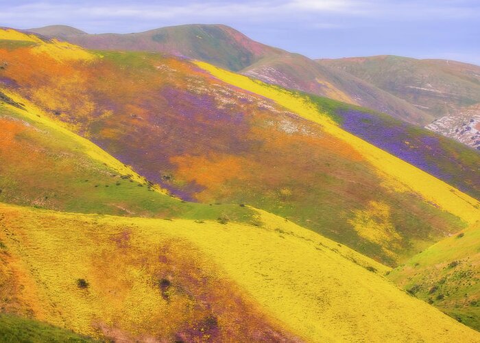 California Greeting Card featuring the photograph Painted Hills by Marc Crumpler