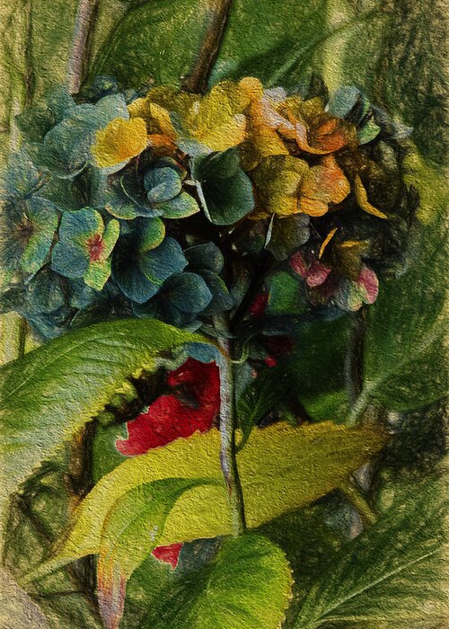 Painted Photo Greeting Card featuring the painting Painted Hydrangeas by Bonnie Bruno