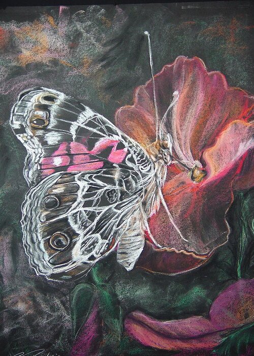 Painted Lady Greeting Card featuring the drawing Painted Lady on a pansy by Bonnie Peacher