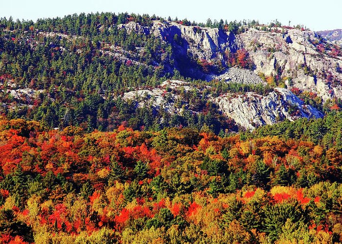 La Cloche Mountains Greeting Card featuring the photograph Painted Mountains by Debbie Oppermann