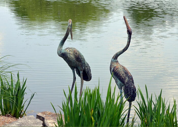 Art Greeting Card featuring the photograph Pair of Garden Herons by Kathleen Stephens