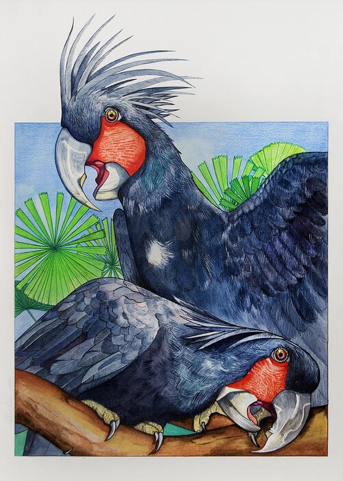 Plam Cockatoos Greeting Card featuring the painting Palm Cockatoos by Robert Lacy