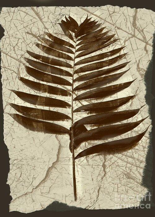 Photograph Greeting Card featuring the digital art Palm Fossil Sandstone by Delynn Addams