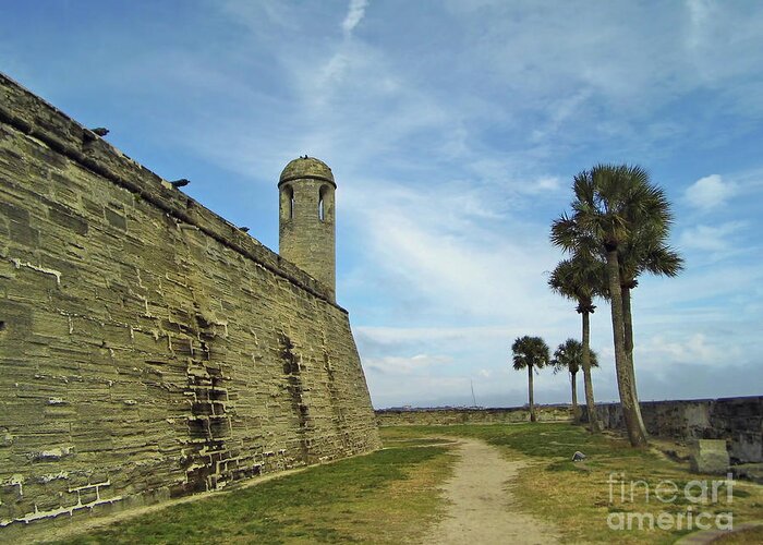 Castillo De San Marcos Greeting Card featuring the photograph Palm Trees Around The Castillo by D Hackett