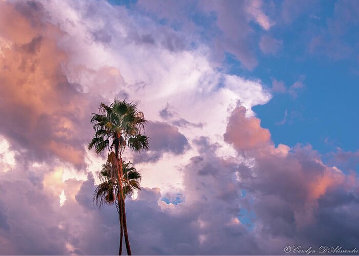 Palm Trees Greeting Card featuring the photograph Palms at Sunset by Carolyn D'Alessandro