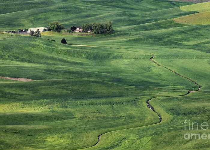 Aerial Greeting Card featuring the photograph Palouse Green Fields by Jerry Fornarotto