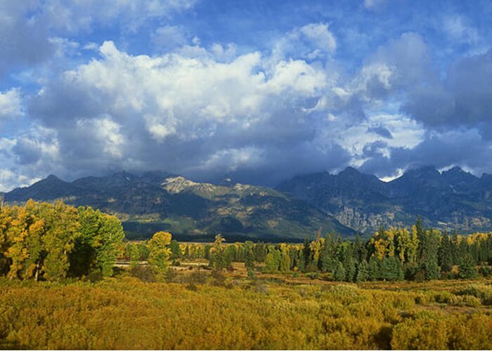 Dave Welling Greeting Card featuring the photograph Panorama Fall Morning Blacktail Ponds Grand Tetons National Park by Dave Welling