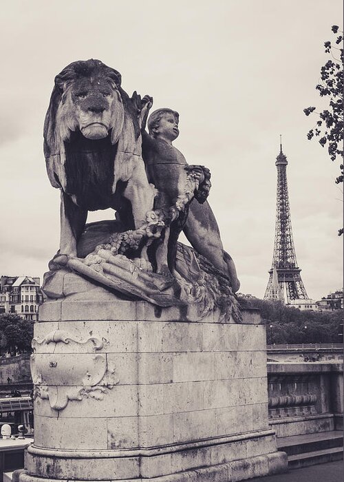 Paris Greeting Card featuring the photograph Lion Bebe by Saint Cloud