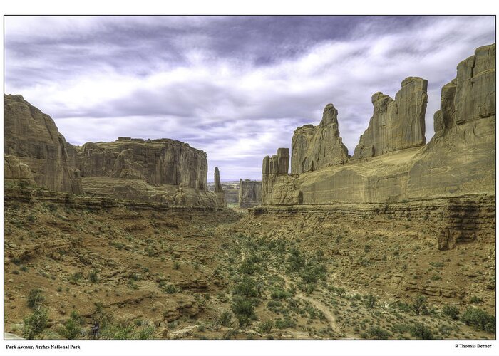 Arches National Park Greeting Card featuring the photograph Park Avenue by R Thomas Berner