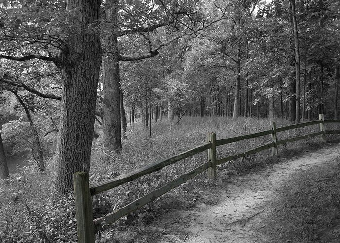 Color Desaturation Greeting Card featuring the photograph Parkland by Dylan Punke
