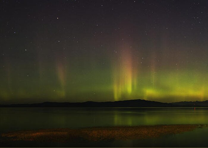 Aurora Borealis Greeting Card featuring the photograph Parksville Bay Aurora by Randy Hall