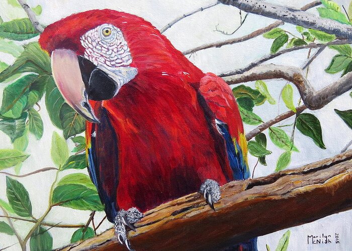 Lake Atitlan Natural Reserve Greeting Card featuring the painting Parrot Portrait by Marilyn McNish
