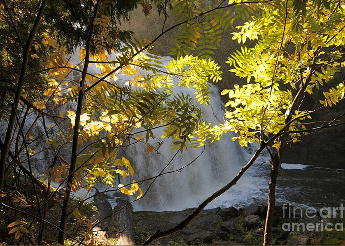 Partridge Falls Greeting Card featuring the photograph Partridge Falls II by Sandra Updyke