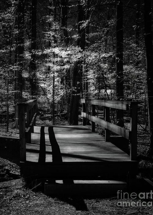 Bnw Greeting Card featuring the photograph Passage into woods by Izet Kapetanovic