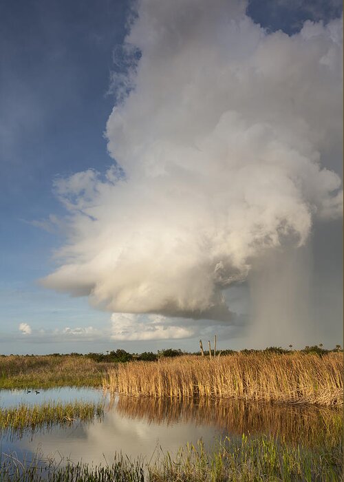 Cloud Greeting Card featuring the photograph Passing late afternoon rain shower by David Watkins
