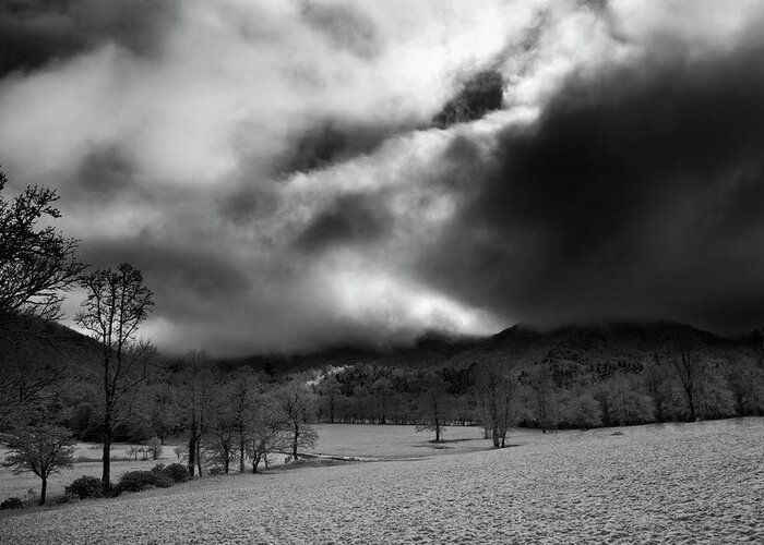Snow Greeting Card featuring the photograph Passing Snow In North Carolina in Black and White by Greg and Chrystal Mimbs