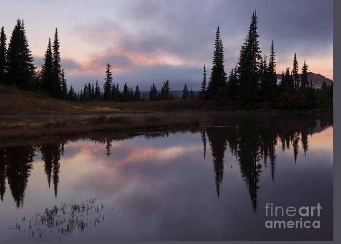 Mt. Rainier Greeting Card featuring the photograph Pastel Majesty Revealed by Michael Dawson