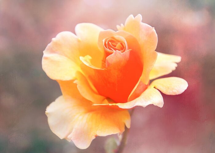Rose Greeting Card featuring the digital art Pastel Rose by Terry Davis