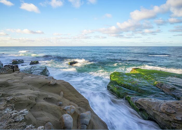 La Jolla Greeting Card featuring the photograph Patch Of Green by Joseph S Giacalone