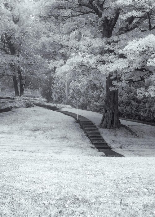 St Lawrence Seaway Greeting Card featuring the photograph Path In Black And White by Tom Singleton