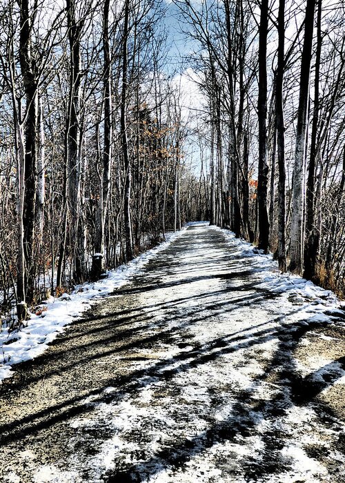 Path Greeting Card featuring the photograph Path in Winter by Celtic Artist Angela Dawn MacKay