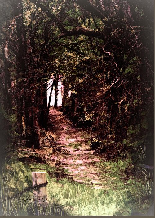 Path Greeting Card featuring the photograph Path To Nowhere by Bonnie Willis