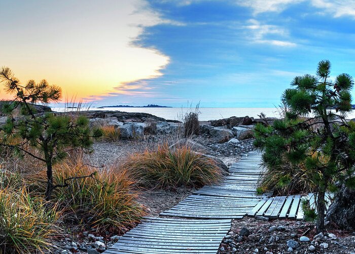 Preston Greeting Card featuring the photograph Path to the beach Preston Beach Marblehead Massachusetts Sunrise by Toby McGuire