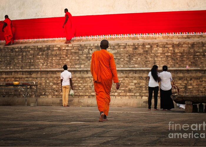 Buddhist Nun Greeting Card featuring the photograph Path by Venura Herath