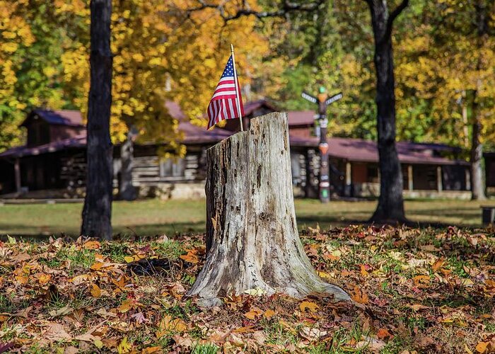 Flag Greeting Card featuring the photograph Patriotic Tree Stump by Kevin Craft