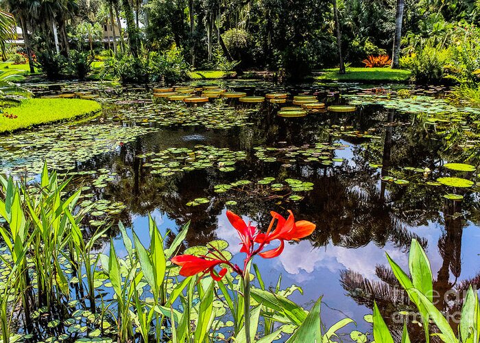 Liesl Walsh Greeting Card featuring the photograph Peaceful Pond, Painting Effect by Liesl Walsh