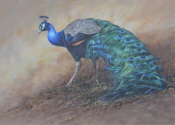 Wildlife Paintings Greeting Card featuring the painting Peacock by Alan M Hunt