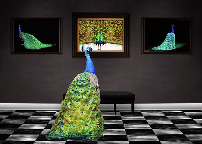 Peacock Gallery Greeting Card featuring the photograph Peacock Gallery by Steven Michael