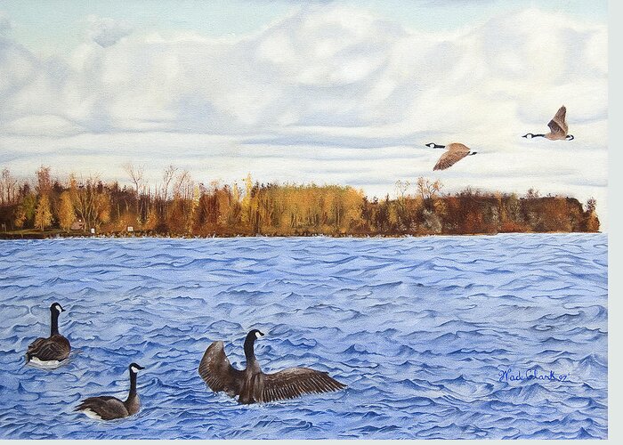 Birds Greeting Card featuring the painting Peche island canadas by Wade Clark