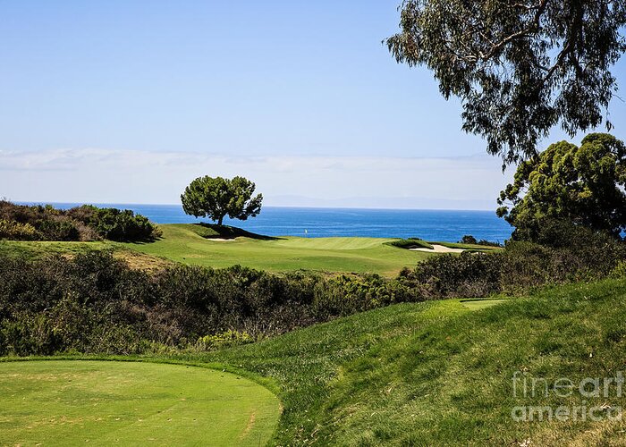 Pelican Hill Greeting Card featuring the photograph Pelican Hill #16 South Course by Scott Pellegrin