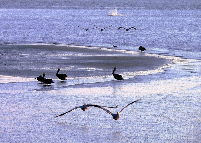 Pelicans Greeting Card featuring the photograph Pelican Island by Al Powell Photography USA
