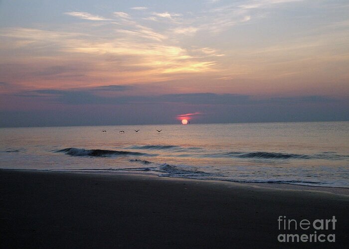Pelicans Greeting Card featuring the photograph Pelicans at Sunrise on Tybee by Doris Blessington