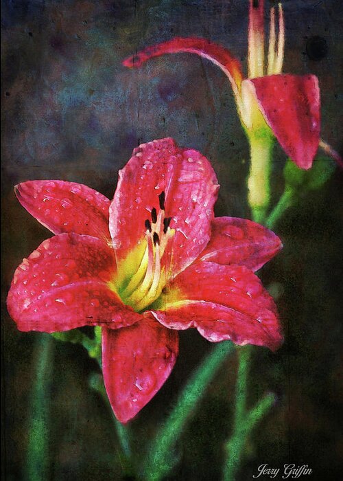 Red. Lily Greeting Card featuring the photograph After the Rain Lily by Jerry Griffin
