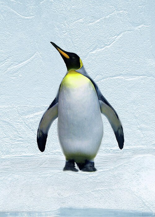 Penguin Greeting Card featuring the digital art Penguin by Steve Karol