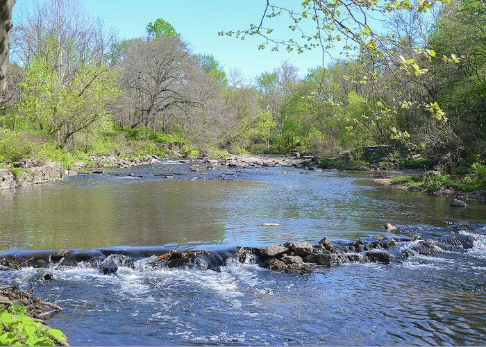 Pennypack Greeting Card featuring the photograph Pennypack Creek - Philadelphia by Bill Cannon
