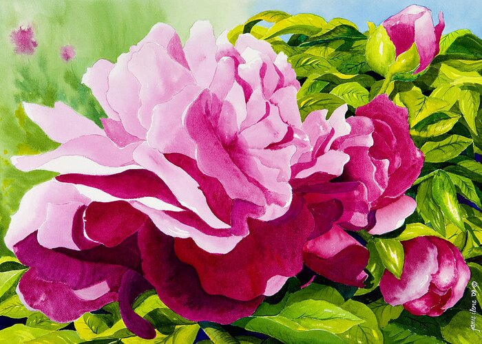 Flower Greeting Card featuring the painting Peonies in Pink by Janis Grau