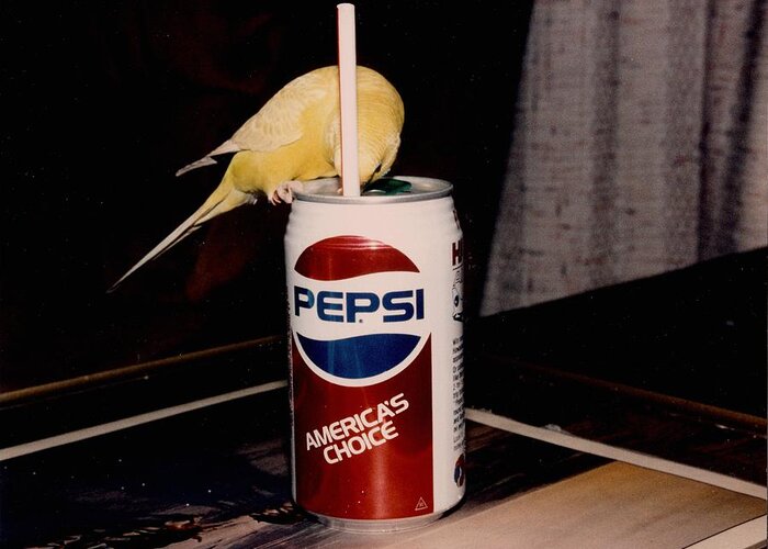 Keet Greeting Card featuring the photograph Pepsi Girl by Judyann Matthews