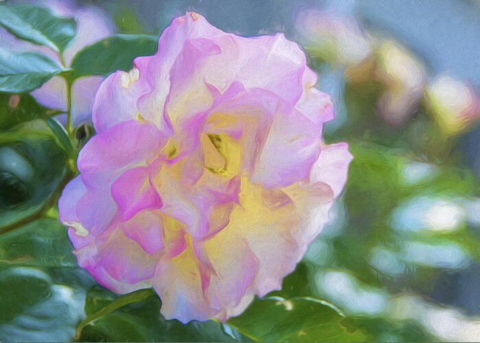 Rose Greeting Card featuring the photograph Perfect Imperfection by Cathy Kovarik