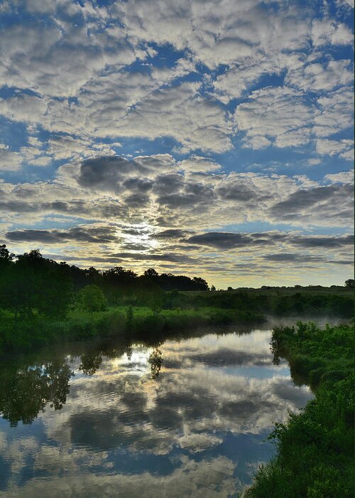 Glacial Park Greeting Card featuring the photograph Perfect Mirror Image on Nippersink Creek by Ray Mathis