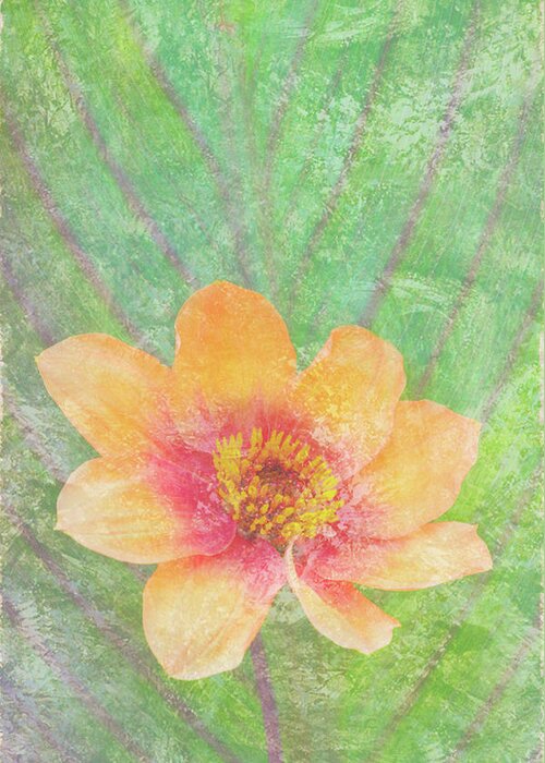 Butterfly Greeting Card featuring the painting Perfect Peach by JQ Licensing