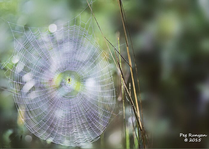 Spider Web Greeting Card featuring the photograph Perfect Symmetry by Peg Runyan